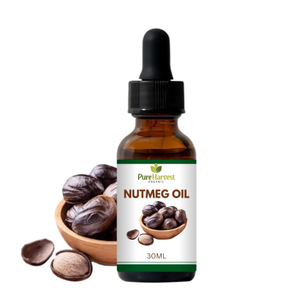30 ML Nutmeg Oil | Roghan Jaifal