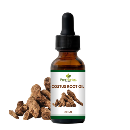 30 ML Costus Root Oil | Roghan Kust