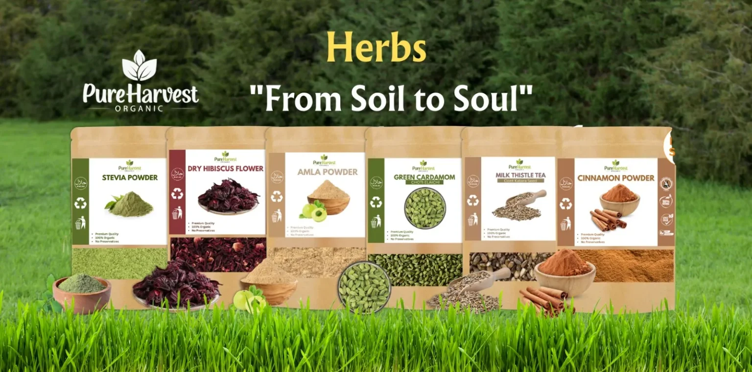 Home 1 PureHarvest Organic herbs and spice powders including stevia powder, dry hibiscus flower, amla powder, green cardamom, milk thistle tea, and cinnamon powder displayed on grass with a forest background and the slogan βFrom Soil to Soulβ.
